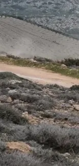 Scenic mountain road with rugged terrain and cloudy sky.