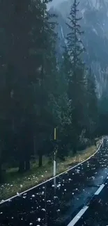 Scenic mountain road with pine trees and mountains in the background.