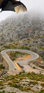 Winding mountain road with a bat flying overhead, framed by rocky cliffs.