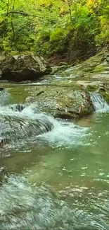 Peaceful mountain stream in lush greenery.