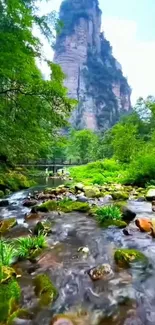 A scenic mountain stream flowing through lush greenery with towering cliffs.