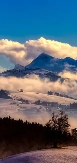 Misty mountain sunrise with lone tree and vibrant sky.