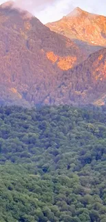 Serene mountain landscape at sunrise with lush green forest.