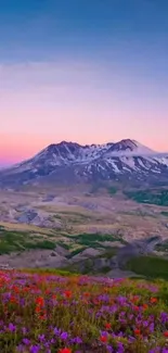 Beautiful mountain landscape with colorful sunset and wildflowers.