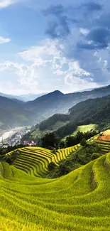 Scenic wallpaper of green terraced fields and mountains.