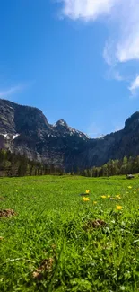 A serene mountain view with blue sky and green fields.