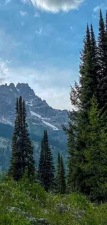 Scenic mountain view with trees and blue sky.