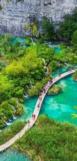 Scenic boardwalk over turquoise waters in lush forest view.