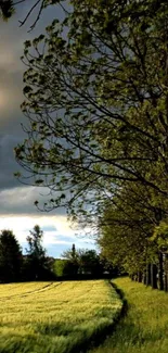 Lush green fields with tree line and dramatic sky.