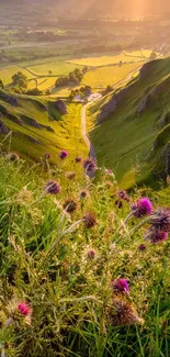 Serene valley with wildflowers and sunlight, ideal for nature wallpaper.