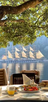 Scenic view of a table and sailboat with lush greenery.