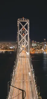 Nighttime view of a bridge leading into a brightly lit city skyline.