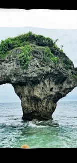 A unique rock formation rises from the ocean with lush greenery on top.