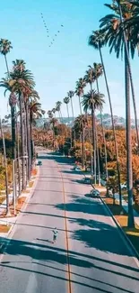 A sunny boulevard lined with tall palm trees under a vivid blue sky, perfect for mobile wallpaper.