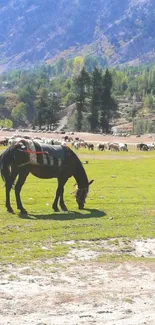 Horse grazing on a sunny green pasture with mountains.