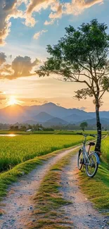 Serene sunset over bicycle path with green fields and mountains.