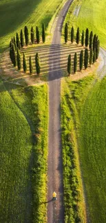 Aerial view of a pathway lined with trees in expansive green fields.