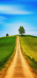 Scenic path through green hills under a vibrant blue sky.