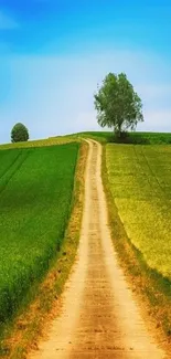 Serene pathway through green landscape with vibrant blue sky.