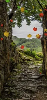 Scenic path through rocky passage leading to green hills.