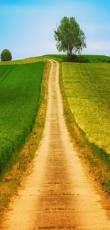 Serene countryside path under a blue sky.