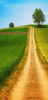 A serene countryside pathway with green fields under a clear blue sky.