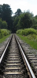 A scenic railway track through lush green forests.