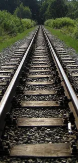 Scenic railway track through green forest, perfect for nature lovers.