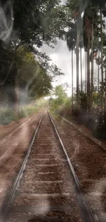 Scenic railway track with lush trees and a tranquil path.