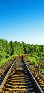 Railway tracks leading into lush green forest under clear blue sky.