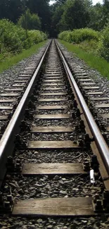 Scenic railway track through lush greenery for an adventurous mobile wallpaper.