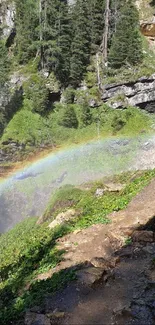 Majestic waterfall with rainbow arching over lush greenery.