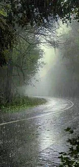 Rainy winding road through a lush green forest with misty atmosphere.