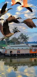 Flock of birds over a traditional boat on a peaceful river with sky blue background.