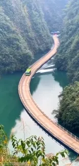 Scenic road beside lush green river in nature.