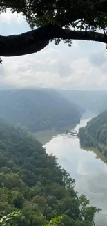 Scenic view of a river winding through a lush green valley with misty skies.