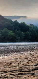 Serene sunrise over lush green riverbank landscape.