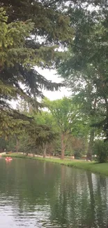 Serene forest river scene with lush trees.