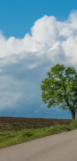 A scenic road with a tree under a bright blue sky with clouds.