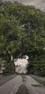 Serene road through green trees under cloudy sky.