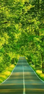 Serene road amidst lush green trees.