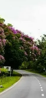 Scenic road with vibrant trees and blossoms along the roadside.