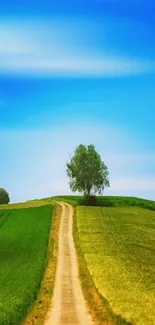 A winding path through green fields under a bright blue sky.