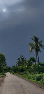 A peaceful countryside road with lush palms and a dramatic grey sky.