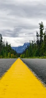 Scenic road with yellow line in forested mountain area.