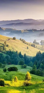 Lush green rolling hills under a serene sky, perfect for mobile wallpaper.