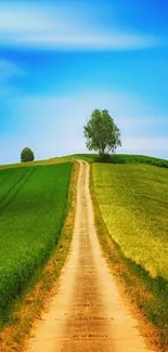 Scenic rural path through green fields under a bright blue sky.