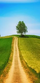 A scenic road winding through green fields under a vibrant blue sky.