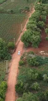 Aerial view of a dirt road through lush green farm fields.