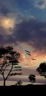 Silhouetted trees against a dusky sky with colorful sunset clouds, in a serene desert.